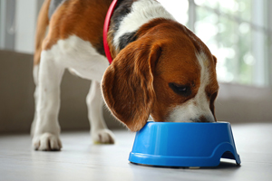 Give your patients FAST diarrhea relief