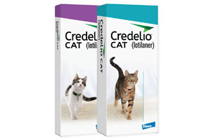 Don’t miss: Credelio Demo-Cast