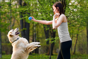 Improve mobility in dogs in as little as 3 weeks