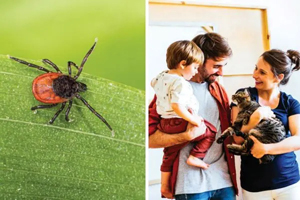 Vector-Borne Disease Coming to a Neighborhood Near You: Which Tests to Reach For, and Why?