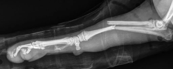 Can you solve this puzzle?