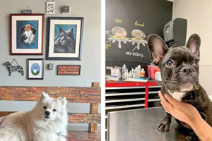 Amp up your practice with a few low-cost, low-labor projects