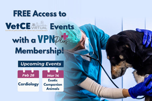 Unlock free VetCE Virtual Events with VPN Plus+.