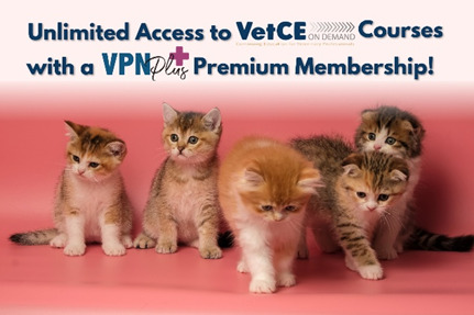 Get unlimited access to 130+ CE courses with VPN Plus+
