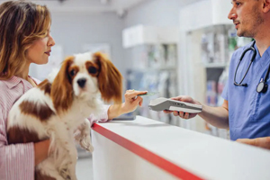 Reduce administrative bottlenecks with automation