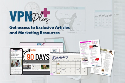 Exclusive articles and resources with VPN Plus+