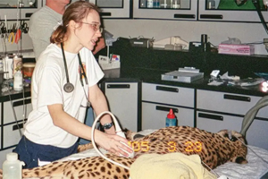 Part 2: Using ultrasound in the ER setting