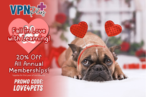 Fall in love with learning—get 20% OFF VPN Plus+