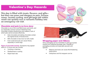 Infographic: V-day hazards
