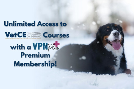 Fulfill all your CE requirements with VPN Plus+