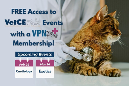 Unlock free VetCE Virtual events with VPN Plus+.