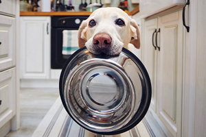 Is your parasite protocol missing something?