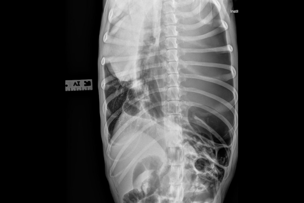 Can you solve this puzzle?