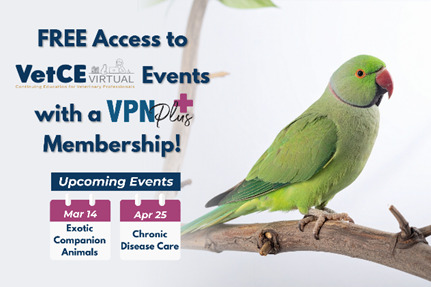 Unlock free VetCE Virtual Events with VPN Plus+
