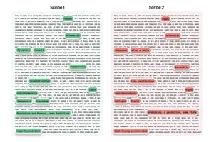 How accurate are veterinary AI scribes?
