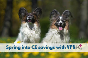 Spring into CE savings with VPN Plus+