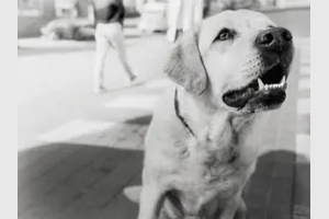 Where unique needs meet innovative science