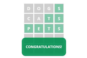 Solve this wordplay!