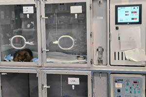 The ultimate guide to navigating CHF emergency cases, part 2