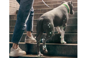 Science In Every Step