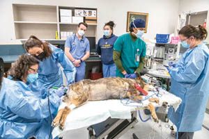 Cancer center offers the latest in diagnostics and treatments