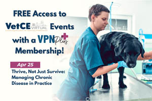 Unlock free VetCE Virtual Events with VPN Plus+