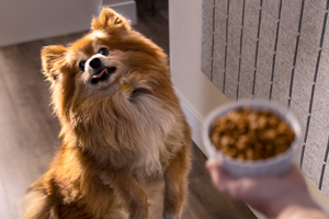 Help manage two conditions with one food