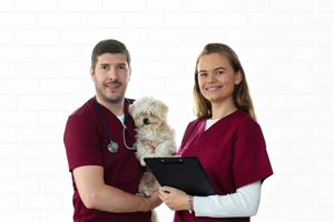 New campaign spotlights mental health in vet med