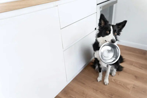 Separating good intentions from good nutrition