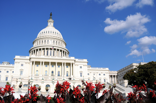 House advances Farm Bill with key veterinary provisions