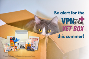 Be alert for the VPN Plus+ Vet Box coming this summer!