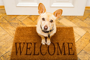 Pet-inclusive housing focus of recent industry forum