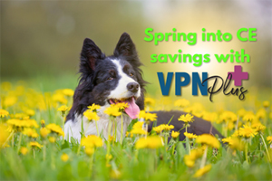 Spring into CE savings with VPN Plus+