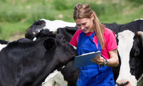 Overlooked roles of veterinarians highlighted in global survey