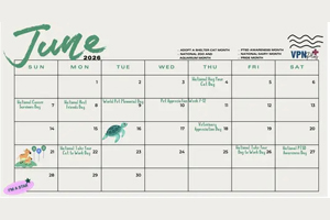Infographic: June pet- and vet-related holidays