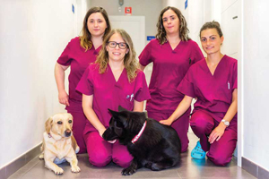 WSAVA survey to provide insights into companion animal practice