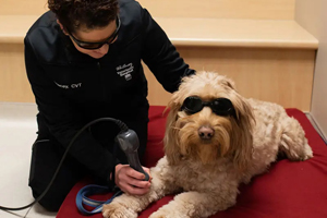 Go from a 'general practice' to 'go-to practice' with unique offerings
