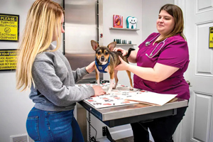 Translating the contextualized care roadmap to the spectrum of care practice – part 1