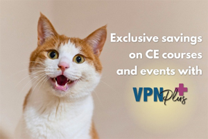 Exclusive savings on CE with VPN Plus+
