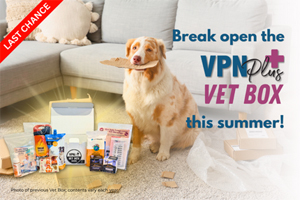 Last chance to get your VPN Plus+ Vet Box