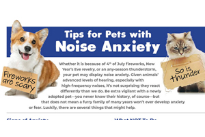 Infographic: Tips for Pets with Noise Anxiety