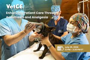 Advance your anesthesia knowledge with VetCE Virtual
