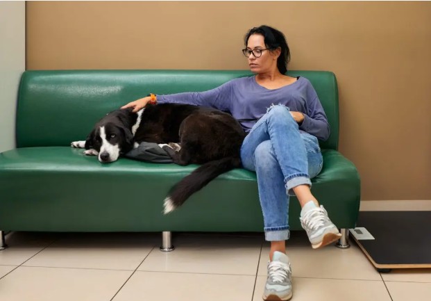 Report highlights financial barriers shaping pet care decisions