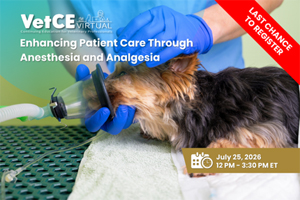 Last chance to register for Anesthesia VetCE Virtual
