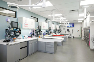 Maintaining continuity during renovation