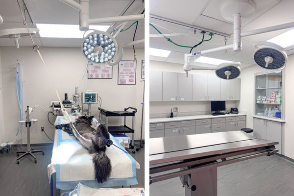 Space: The final frontier in surgical efficiency