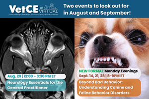 Learn and earn CE credits with VetCE Virtual events