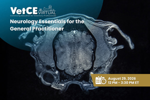 Deepen your knowledge in neurology at our Aug. 29 VetCE Virtual