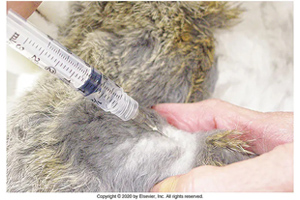 The art of the aspirate