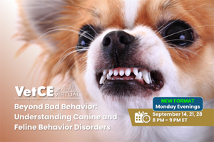 Explore Animal Behavior at our September VetCE Virtual series